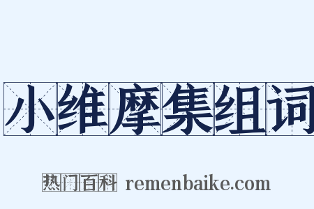 小维摩集组词是什么意思的图片
